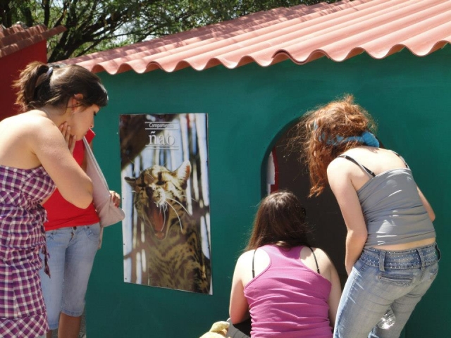 Acercamiento con animales.jpg